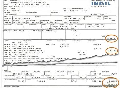 Reddito Complessivo Busta Paga Dove Si Legge Calcolo Esempi E