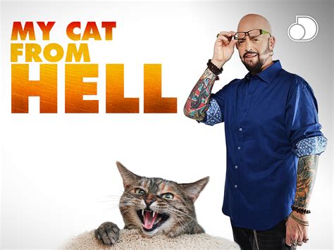 Prime Video My Cat From Hell Season