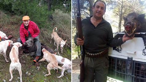 Un Cazador Abate Un Astuto Y Viejo Jabal Con Tan Solo Tres Patas