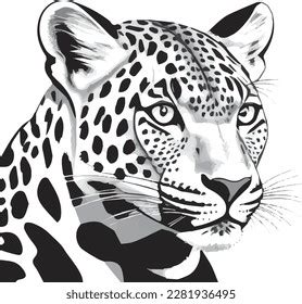 Leopard Head Drawing Vector Graphics Stock Vector (Royalty Free) 2281936495 | Shutterstock