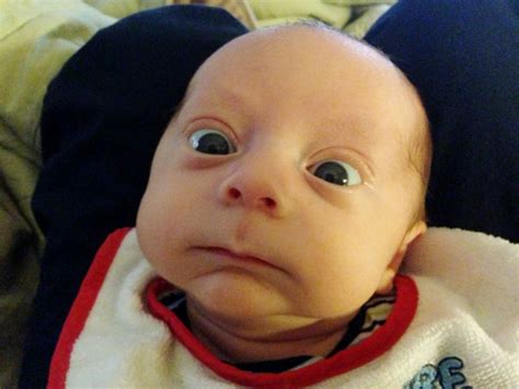 No Way 12 Hilariously Surprised Babies