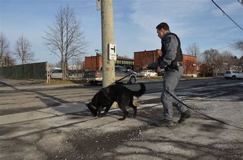 La vigilance d une citoyenne mène à l arrestation d un homme FM 103 3