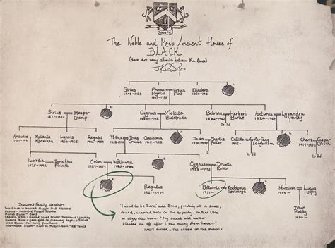 The House of Black family tree, hand-drawn by Rowling : r/harrypotter