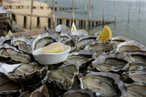 Face à l alerte à la contamination des huîtres en provenance du bassin