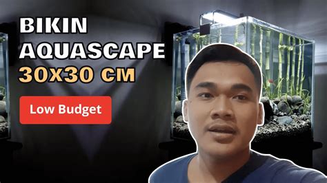 Cara Membuat Aquascape Sederhana Aquascape Batu Kali Aquascape Sri