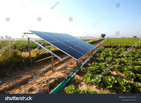 Lettuce Field Irrigated Solar Energy Turkey Stock Photo 2230225015