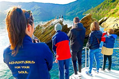 Cruise Excursions And Tours Of Marlborough Sounds Picton Cruise Ship