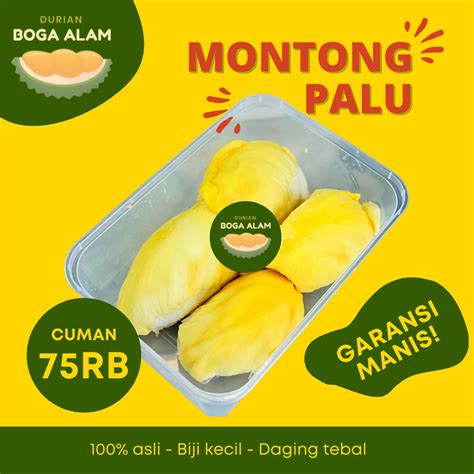 Jual Durian Montong Duren Monthong Sulawesi Palu Kupas Frozen Asli