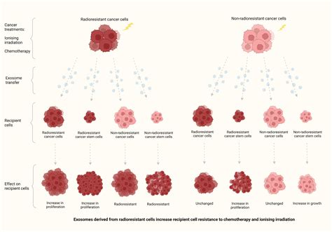 Exosomes Derived From Radioresistant Breast Cancer Cells Promote