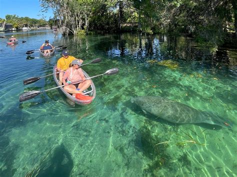 Clear Kayaking Ecotours | Crystal River, Florida