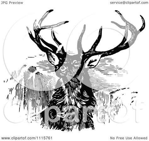 Clipart Retro Vintage Black And White Stag Buck Deer With Antlers 2 Royalty Free Vector