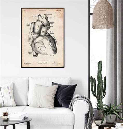 Heart anatomy poster II - Vintage - Codex Anatomicus