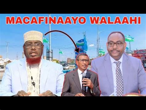 Mucjiso Sheekh Umal Ka Xanaaqay Wasiirkii Puntland Beenta Ka Sheegay