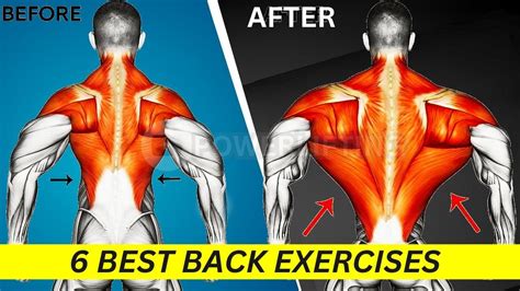 6 Perfect Exercises Back Workout At Gym Youtube