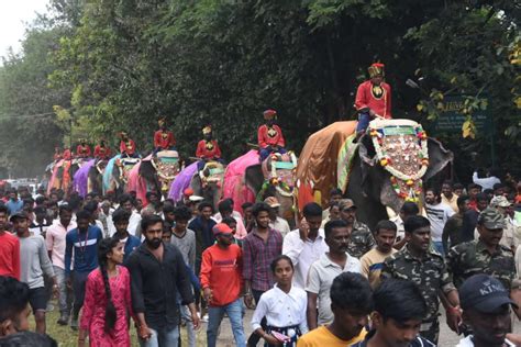 Dasara Abhimanyu To Carry Golden Howdah At Jamboo Savari