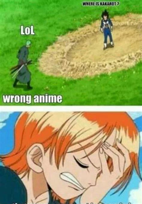 21 Best of One Piece Memes of All Time - My Otaku World