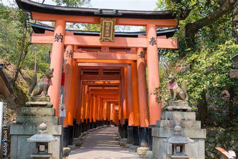 Red Torii Gate At Fushimi Inari Taisha Shrine In Fushimi Kyoto Japan