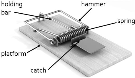 1 A Mechanical Mousetrap With Multiple Parts Ilin Sergeyshutterstock