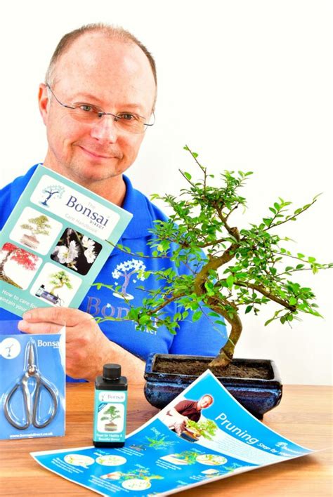 Learn How To Prune A Bonsai Bonsai Tree Pruning Kits