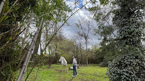 Quién es Bocho y por qué llama la atención en una foto de Montserrat