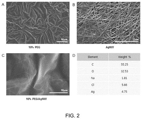 Method For Inducing Differentiation Of Neural Stem Cells Using Patterned Hydrogel Patent Grant