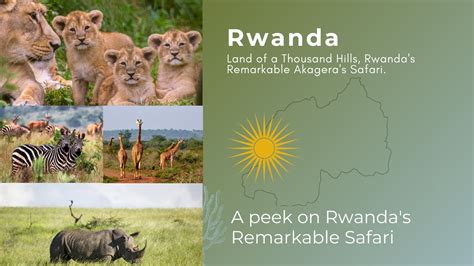 Rwanda S Remarkable Akagera National Park A Story Youtube