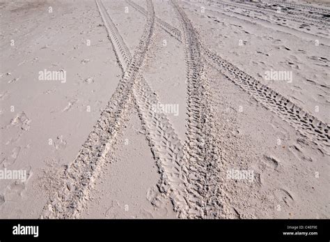 Gulf beaches along Florida's Panhandle at St. Joseph Peninsula State ...