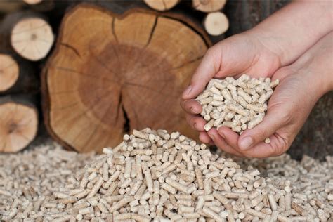 4 Tahapan Membuat Wood Pellet Sendiri Yang Baik Dan Benar Jual Wood