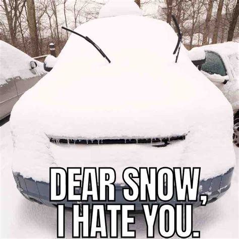 40 Best Snow Memes For Laughing At Winter Weather Cohaitungchi Tech