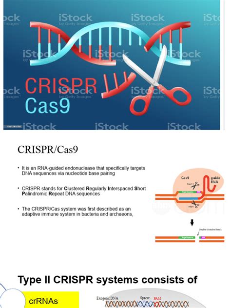 Cas 9 | PDF | Crispr | Dna 