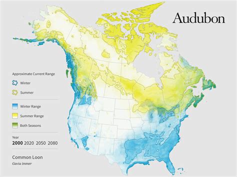 Common Loon animated range map | The Audubon Birds & Climate Change Report