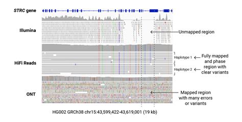 Sequencing 101: understanding accuracy in DNA sequencing - PacBio 