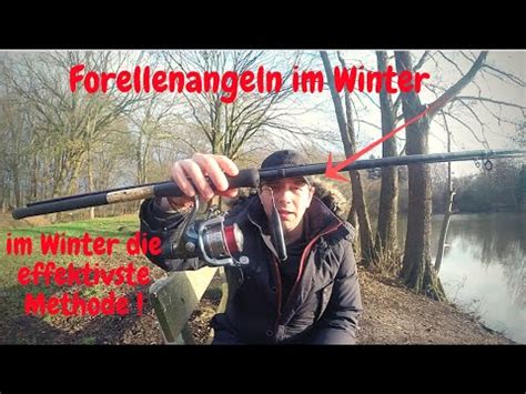 Forellenangeln Im Winter Tipps Tricks Tutorial Zum Forellenangeln