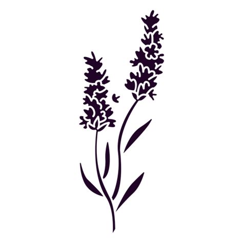 Lavender Png And Svg Transparent Background To Download