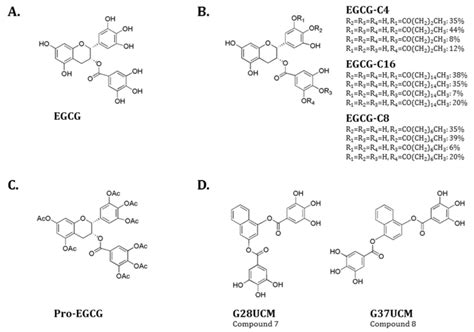 EGCG and synthetic anologs. (A) EGCG native structure. (B) Synthesized ...
