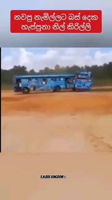 හැප්පුනා නේද බස් දෙක😓 ️‍🩹නිල් කිරිල්ලි🥹 ️‍🩹 Shorts Accident Bus Viral Trending Youtube