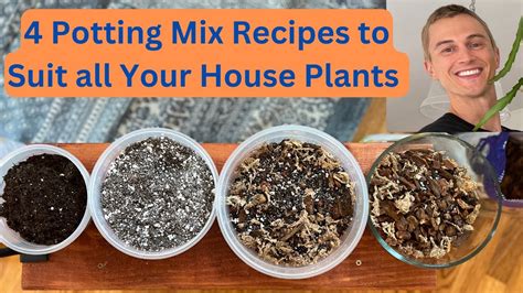 House Plant Potting Mix Recipes Common Plants Succulents Tropical