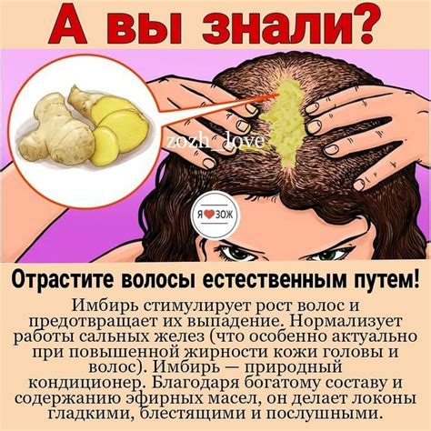 @100sovetov: “ Молотый или свежий имбирь: какой лучше использовать? Оба ...