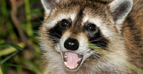 6 Weird Things You D Never Believe Will Make You Horny Cracked