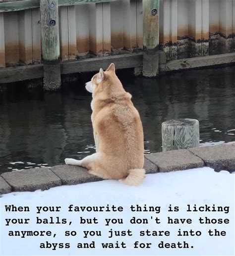 Sad Horny Noises R Dankmemes