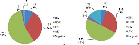 Indications For Penetrating Keratoplasty With And Without Epithelial Download Scientific