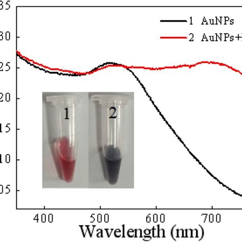 Uvvis Absorption Spectra Of Aunps In The Presence Of Hg²⁺ With Various