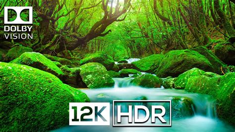 Real K Hdr Fps Dolby Vision Calming Music Color Life Youtube