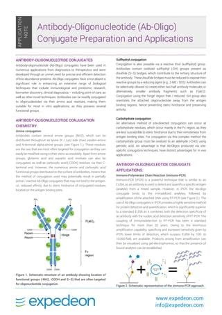 Antibody Oligonucelotide Conjugates Application Note Updated Jan