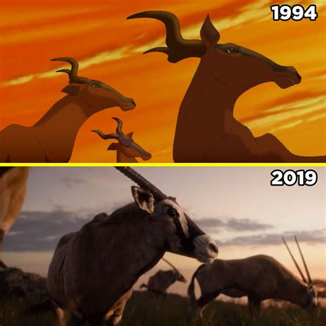 Heres What The Lion King Remake Looks Like Side By Side With The