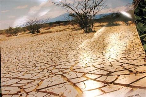 Desertificaci N Qu Es Causas Y Consecuencias Para La Vida