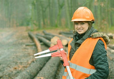 Career In Forestry: Scope, Jobs, Courses, Salary