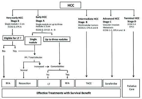 Barcelona Clinic Liver Cancer Group Bclc Algorithm For Staging And Download Scientific