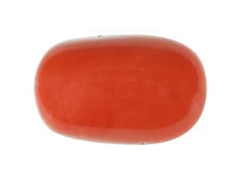 Red Coral Stone at Rs 7344/piece | लाल मूंगा in Jaipur | ID: 12991379233