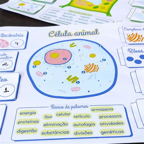Atividade Celula Animal E Vegetal - Atividade - Célula Animal e Vegetal - Biótica Lab